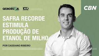 Safra recorde estimula produção de etanol de milho