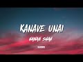 KANAVE UNAI Karoke With Lyrics Hanan Shah Tamil