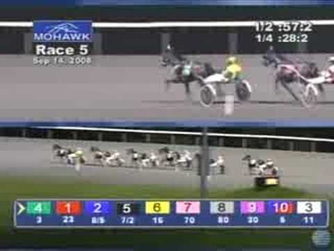 2008 Peaceful Way Stakes
