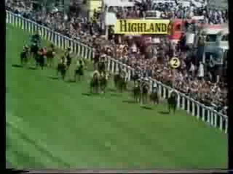 The Minstrel - 1977 Derby