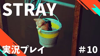 【Stray】へっぽこ迷い猫オーバーラン！　#10