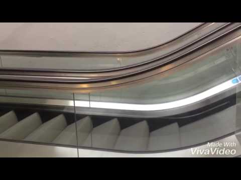 Trailer of the adventures of Og Boyz