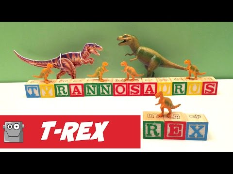 TYRANNOSAURUS REX 3D Dino World Puzzle Video