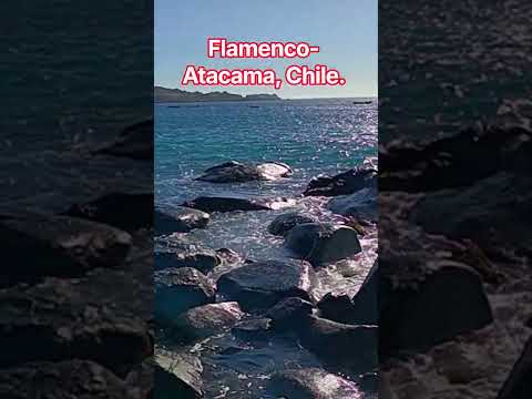 la primera casa de Flamenco,  después del refugio. #chañaral #turismochile # #turismodeexperiencia