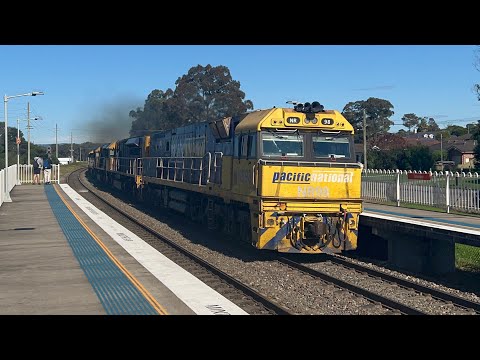 3MB1 - NR98, LDP001, TT112, NR90 and NR39 - Tahmoor