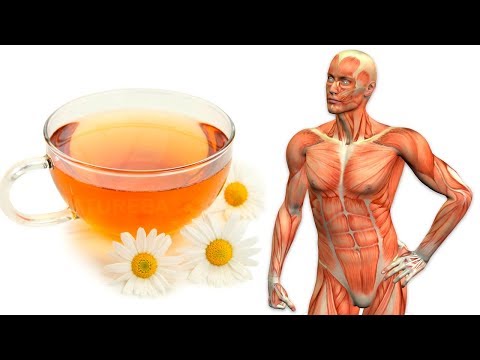 That's Why You Should Be Getting Chamomile Tea Every Day