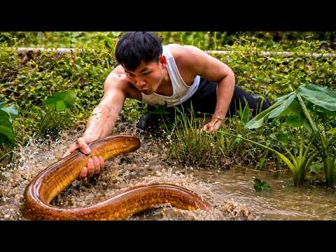CEO Sets Traditional Eel Traps… and Catches Giant Eels for a Wild Feast!