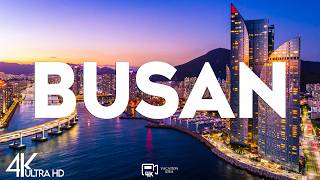 Top 10 Best Things to Do in Busan, South Korea [Busan Travel Guide 2026]
