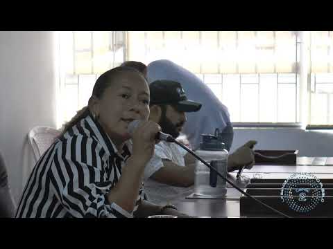 SESION DEL  CONCEJO MUNICIPAL DE SAN FRANCISCO CUNDINAMARCA   ENEL 27 02 2026.