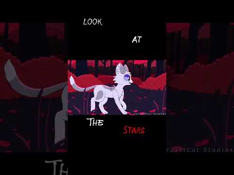 Look at the stars in the big black ink.. #warriorcats #mosskit #alterhuman (credit in corner of vid)