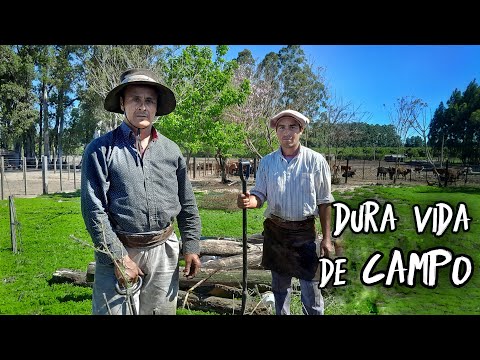 They grew up with candlelight and well water, and didn't see their families for months | The hard...