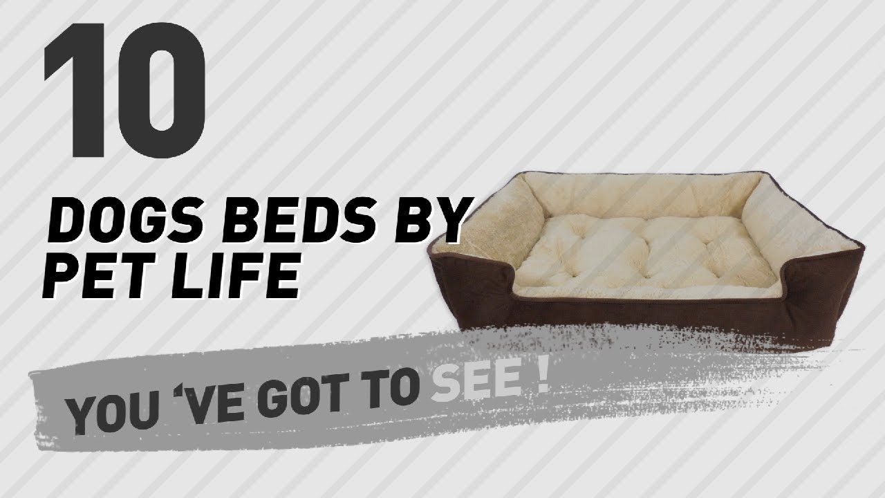 Dogs Beds By Pet Life // Pets Lover Channel Presents: