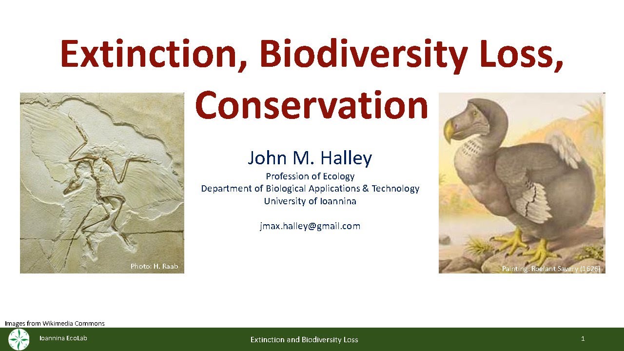 Biodiversity - Extinction, Loss, Conservation