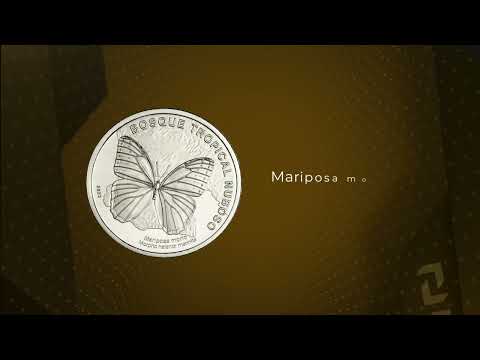 4/6 Nueva moneda de 50 colones