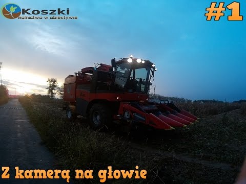 Powody koślawego zniekształcenia kończyn dolnych u dzieci Ortopedii w leczeniu palucha koślawego