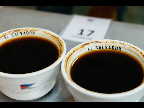 Buying Coffee in El Salvador! thumbnail