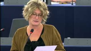 Az ügyvédhez való jogról szóló jelentés plenáris vitája – Gál Kinga felszólalása
