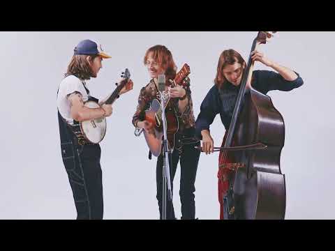 Happy Pills - Palmyra