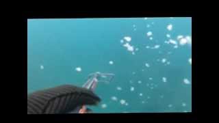 preview picture of video 'Chasse Sous-Marine.flv'