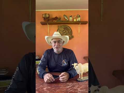 hoje em João Pinheiro MG as 15:00 horas