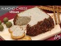 Vegan Life Cheese Free Download Lyrics Mp3 and Mp4