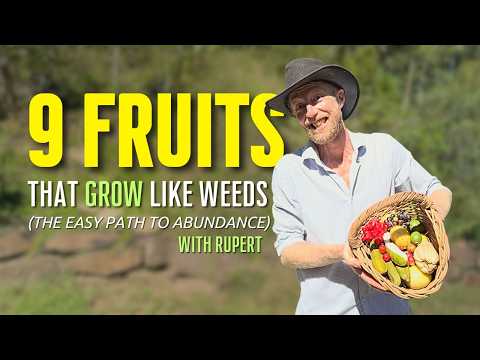 Subtropical Australia: 9 "Weed-Like" Fruits, Zero Maintenance!