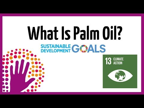 什麼是棕櫚油? (What Is Palm Oil?)