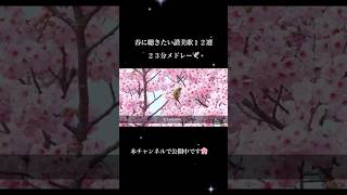 🌸春に聴きたい讃美歌12選公開中🌸#讃美歌 #アメイジンググレイス#賛美歌 #amazinggrace #shorts