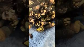 Vídeo del producto