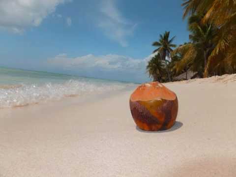 Papa Tank - La Cage De Babylone