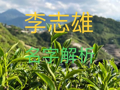 戌年生