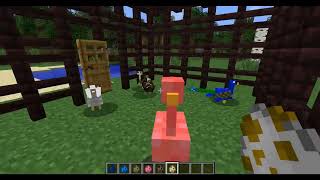 More birds IN MINECRAFT!! || Beast Blaster || MrBeast Minecraft🤷‍♂️