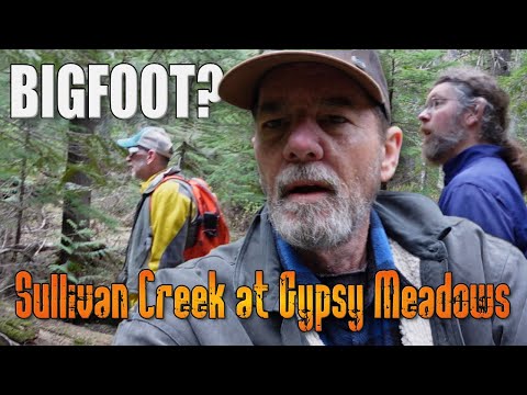 Vom Sullivan Creek zum Salmo Basin Trailhead - Bushcraft Explorer