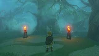 ［フリーBGM］ ゼルダの伝説 - 迷いの森 10分耐久
