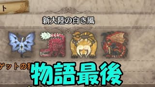 ついに物語最終クエスト！！【MHW#31】