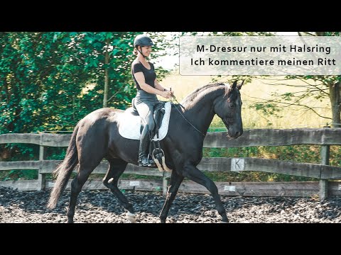 M Dressur nur mit Halsring - Ich kommentiere meinen Ritt