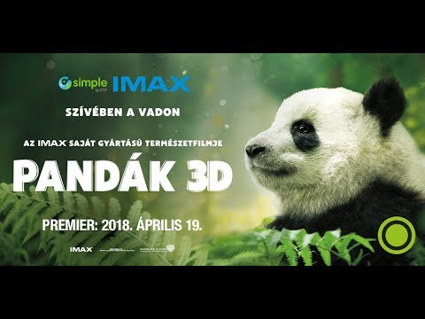 Pandák IMAX 3D trailer