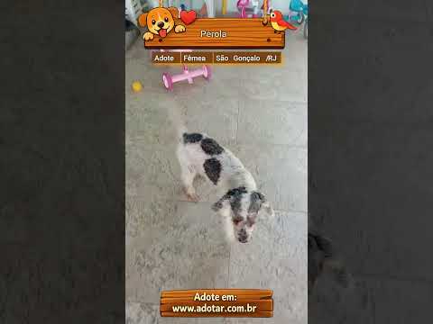 Vídeo de Pérola