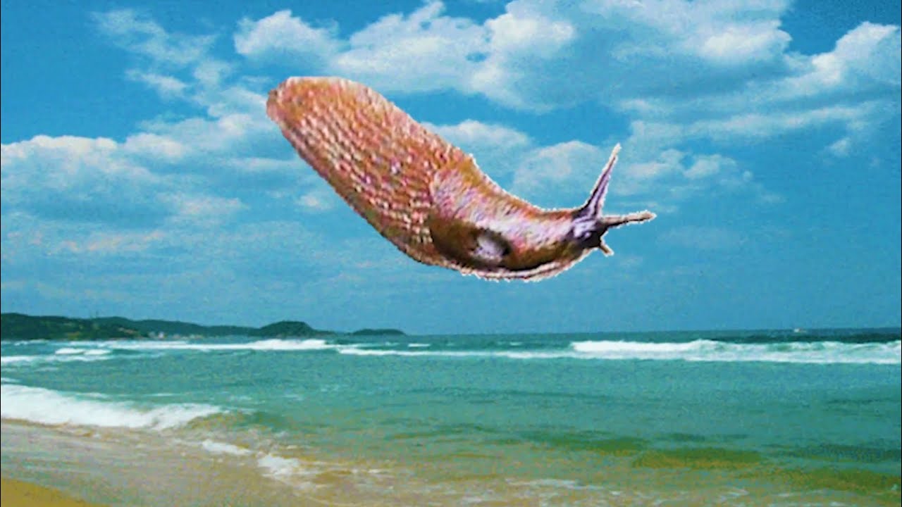 Magdalena Bay — Slug Song