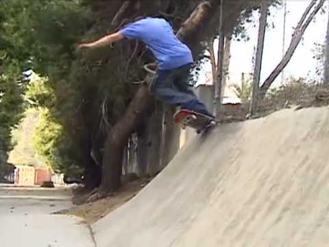 Rob Dyrdek - Mind Field