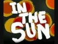 Michael Stipe feat. Chris Martin- In the sun 