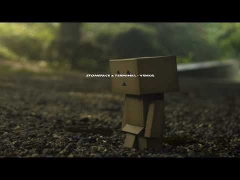 STONEFACE and TERMINAL / VENUS  (HD)
