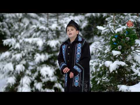 ,,Timpuri revolute''  -   Ioan Ciobanu