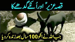 The Story of Prophet Uzair (AS) | Urdu / Hindi