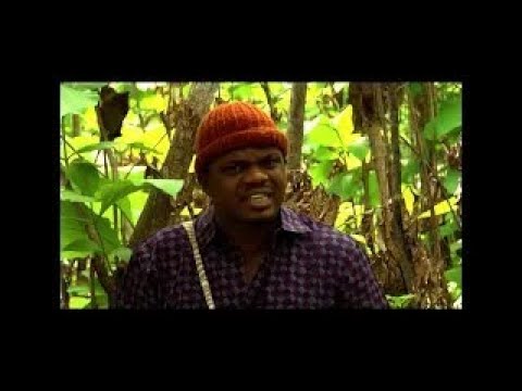 BEAUTY IN THE EYE'S OF THE GODS trailer