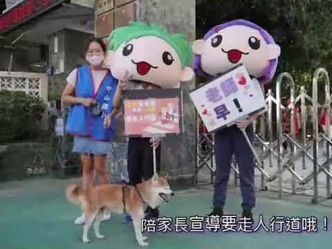 中山國小校園犬-布丁-新北市111年校園犬貓快樂時光影片甄選                   