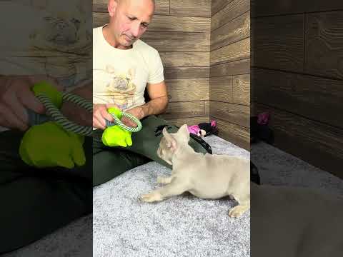 Video 2