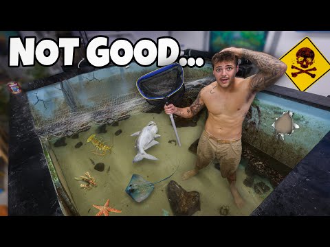 I Drained My SALTWATER POND and FOUND THIS…