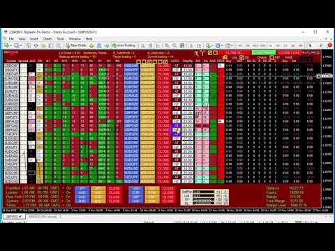 Video Milch Cow Multi Pro