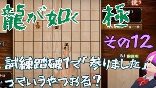 ⑫【龍が如く　極】賽の河原に花束を【初見プレイ】